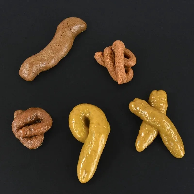 リアルな便模型、安全で柔らかいプラスチック製の偽うんち、面白 - Fake Poop Gag Gift のレビューと価格